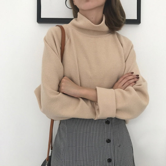 Turtleneck sweater Spring Fall Knitted Jumpers