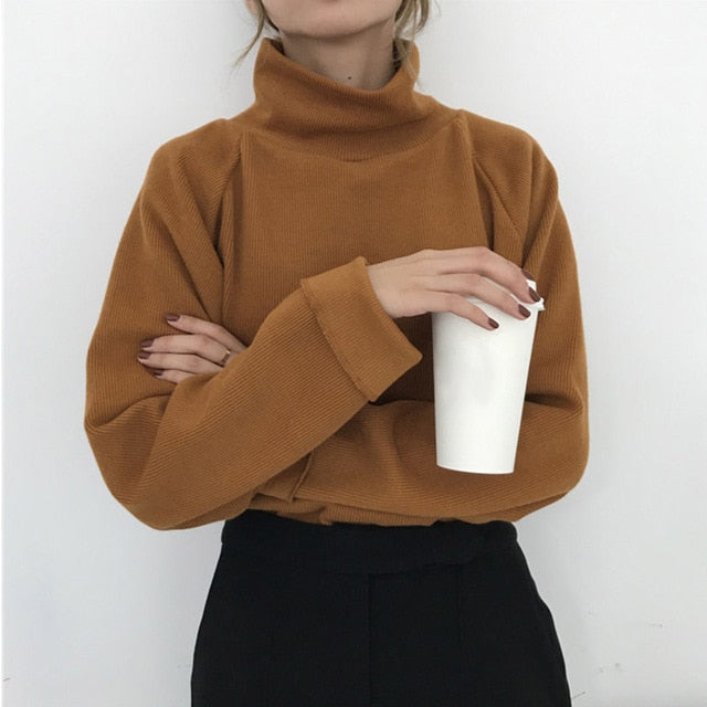 Turtleneck sweater Spring Fall Knitted Jumpers