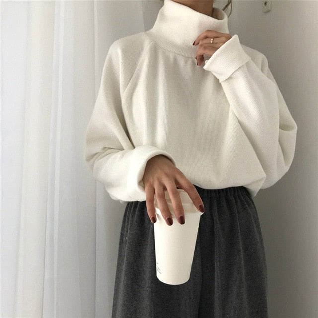 Turtleneck sweater Spring Fall Knitted Jumpers